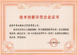 技术创新示范企业证书