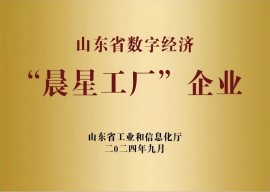山东省数字经济”晨星工厂“