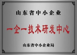 山东省中小企业一企一技术