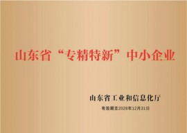 山东省专精特新